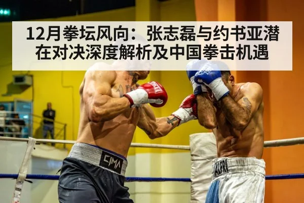 12月拳坛风向:张志磊与约书亚潜在对决深度解析及中国拳击机遇