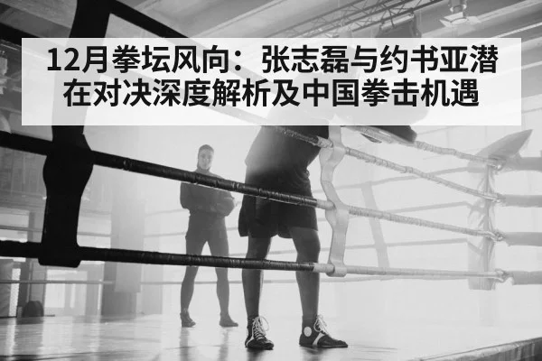 Chinese heavyweight boxer training