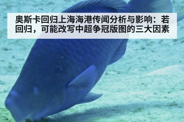 奥斯卡回归上海海港传闻分析与影响:若回归,可能改写中超争冠版图的三大因素