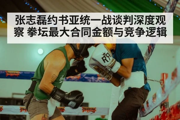 张志磊约书亚统一战谈判深度观察 拳坛最大合同金额与竞争逻辑