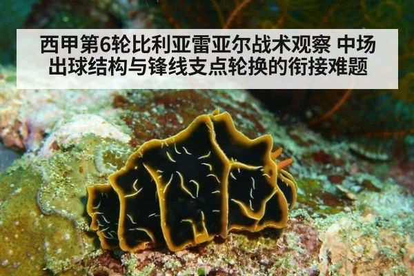 西甲第6轮比利亚雷亚尔战术观察 中场出球结构与锋线支点轮换的衔接难题